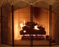 Burning Logs in Fireplace.jpg