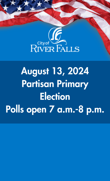 Partisan Primary Election Graphic