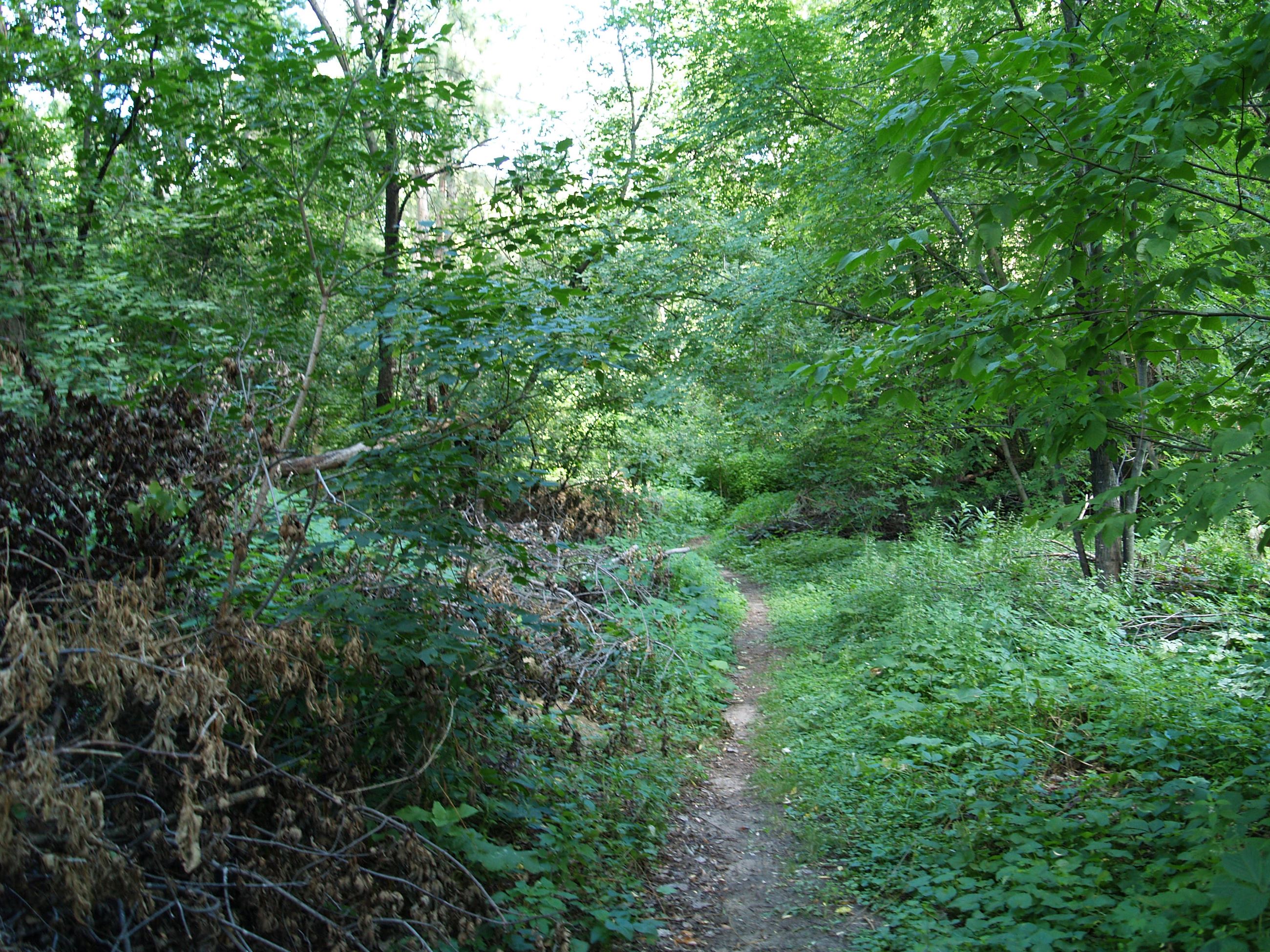 River Hills Path