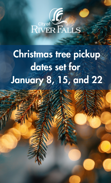 Christmas tree pickup 2026